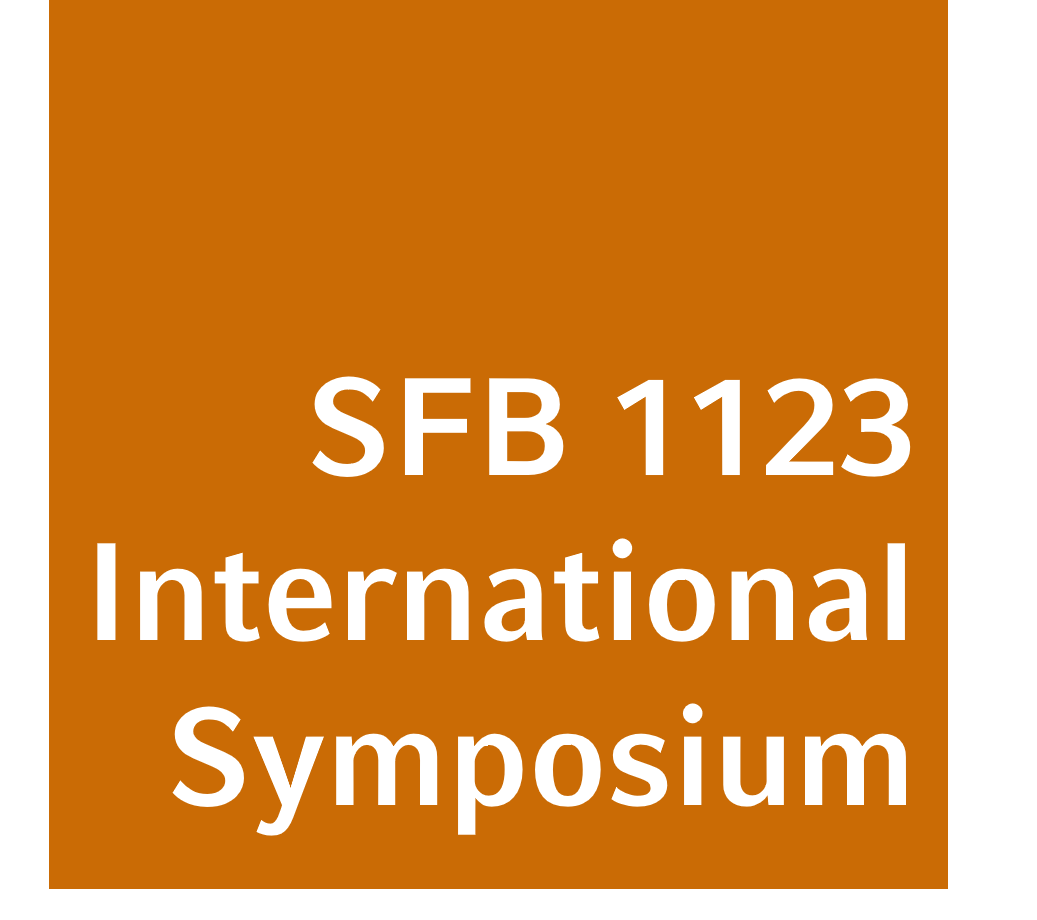 Teaser_SFBInternationalSymposium